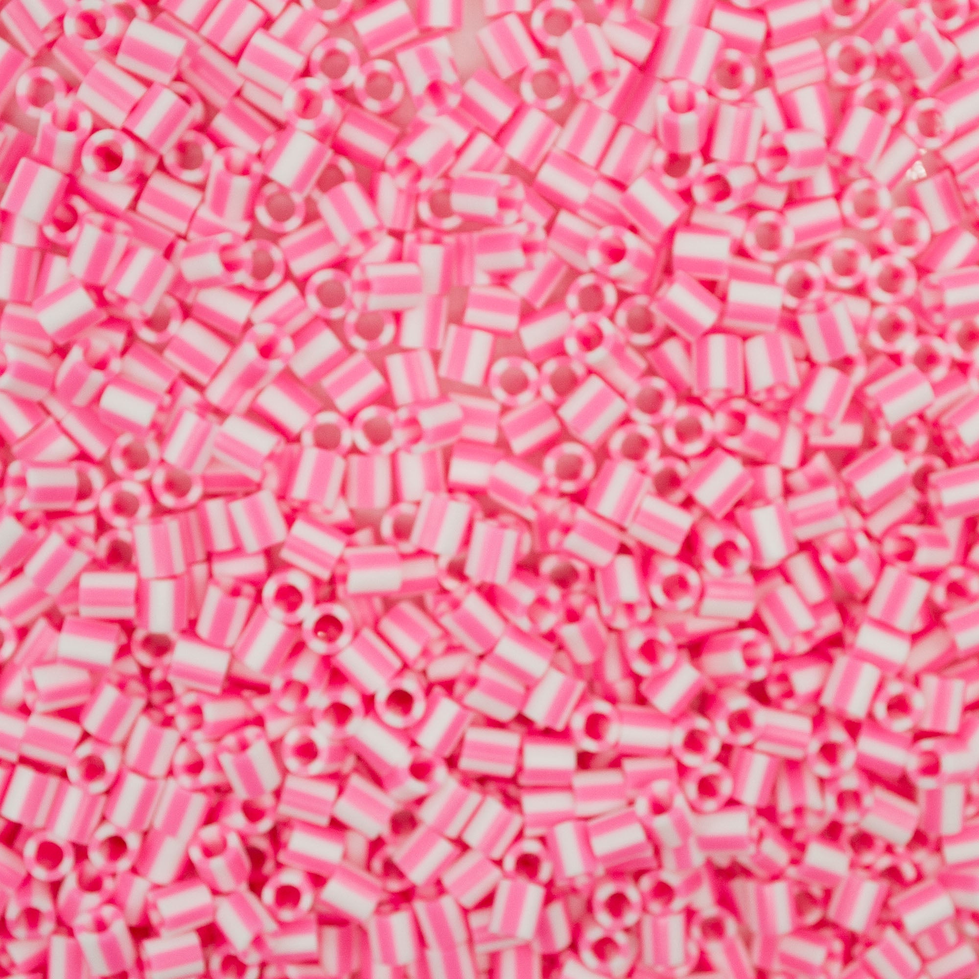 Bulk Top Tier Specialty - Stripe Dragonfruit (SD8)