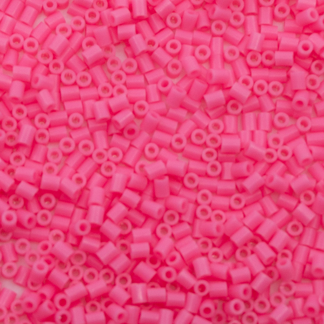 Bulk Top Tier Mini - Mini Wild Watermelon (C66)