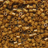 Bulk Top Tier Marigold