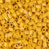 Bulk Top Tier Mini - Dandelion