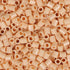 Bulk Top Tier Mini - Pale Skin