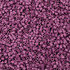 Bulk Top Tier Mini - Mauve