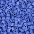 Bulk Top Tier Forget Me Not